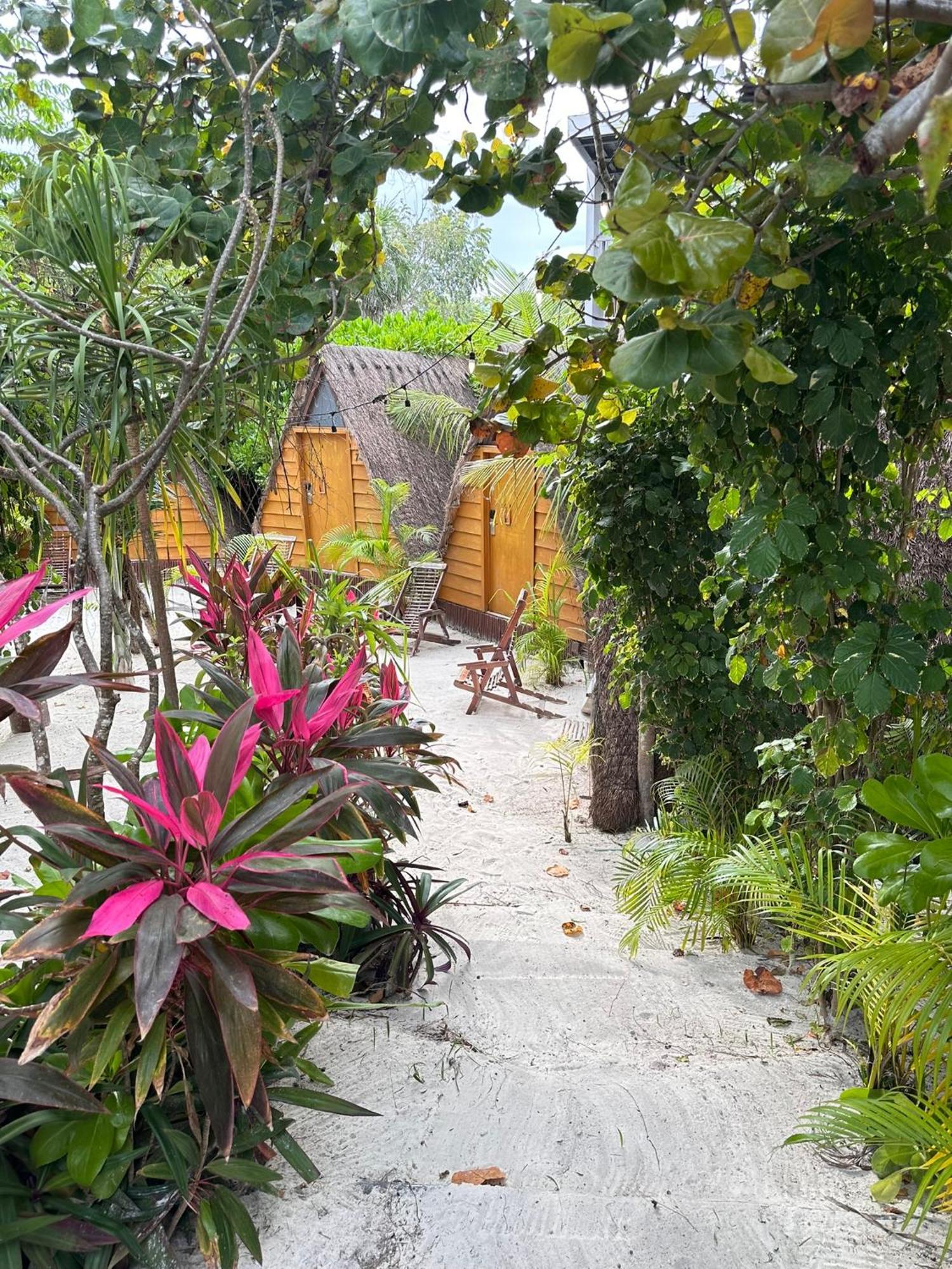 Hotel Mia Tulum