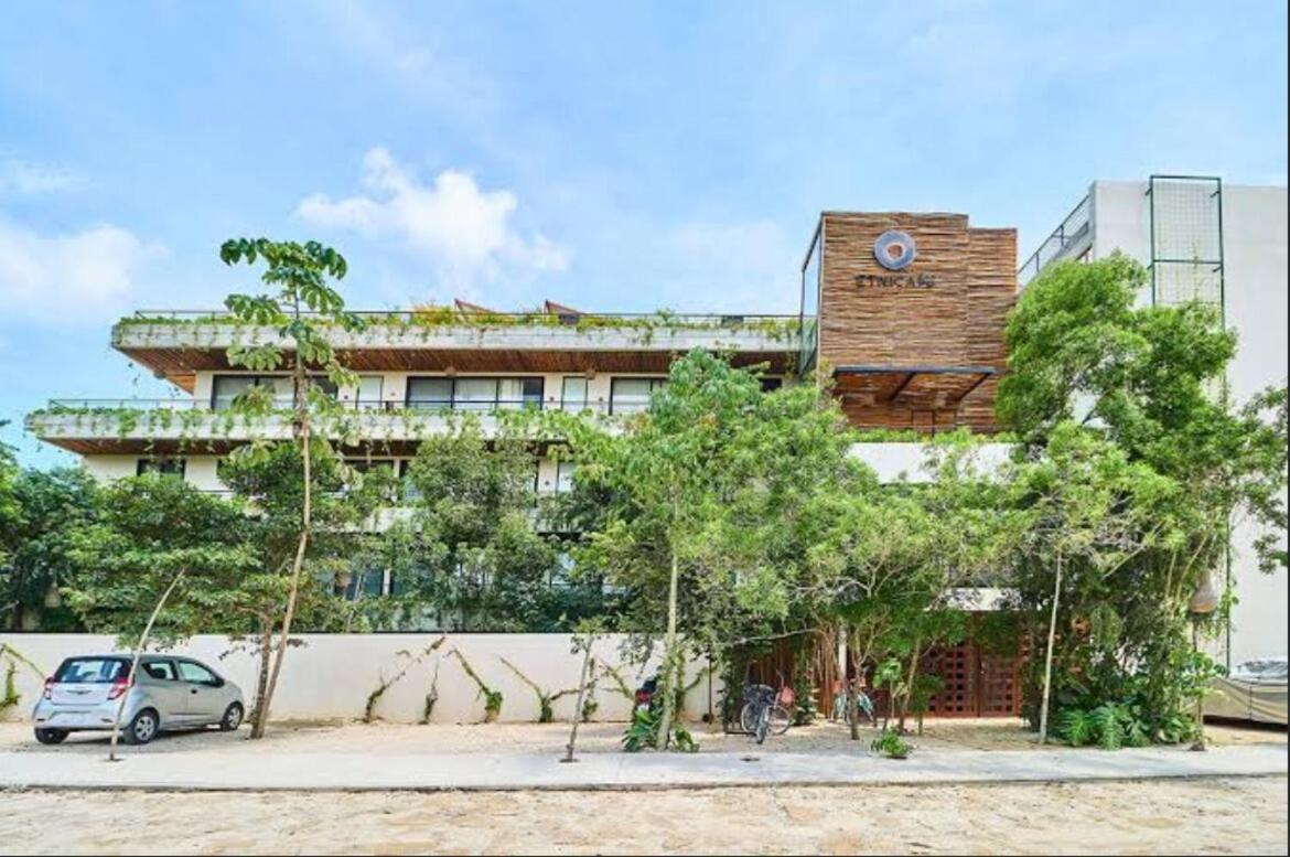 Apartamento La Veleta Sunrises & Jungle View Near Holistika Tulum