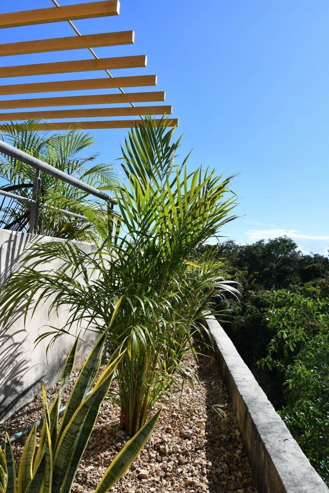 3-bedroom With Private Pool, Terrace And Bbq Tulum