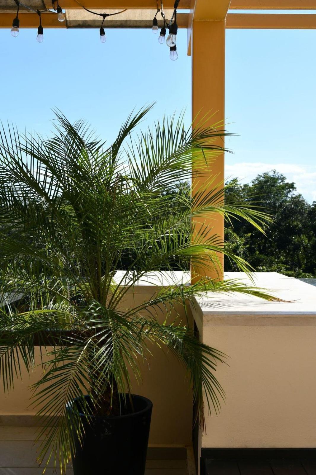 3-bedroom With Private Pool, Terrace And Bbq Apartamento Tulum