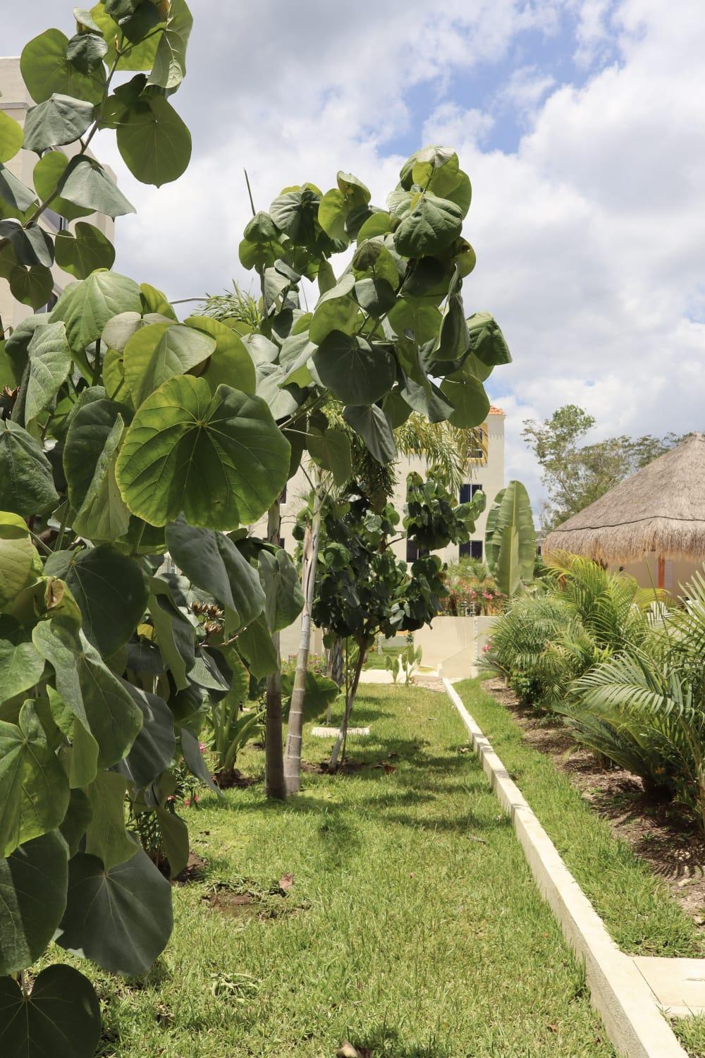 Apartamento New - Village-cenotes-airport-zamna