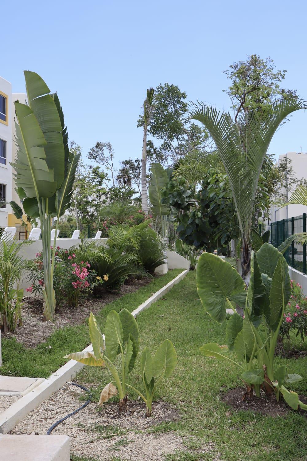 New - Village-cenotes-airport-zamna Tulum