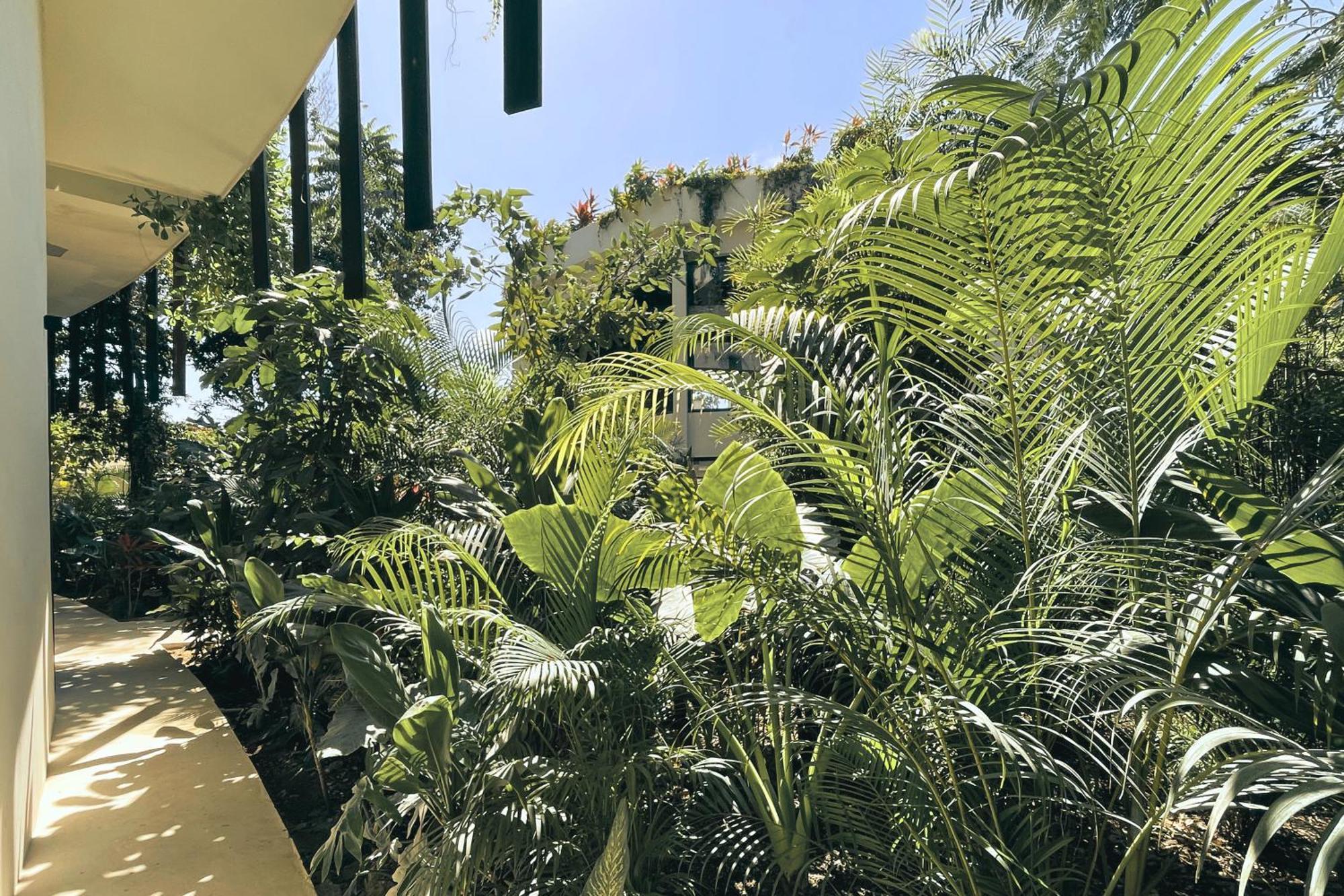 Apartamento Canopy Cove Loft Private Jacuzzi Parking & B-club Tulum