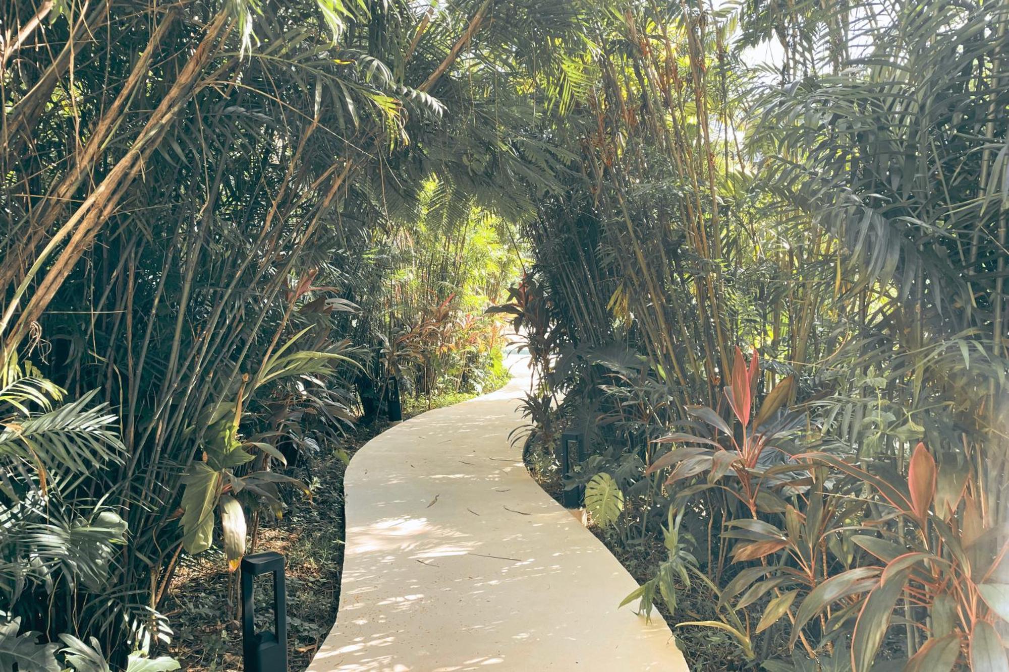 Canopy Cove Loft Private Jacuzzi Parking & B-club Tulum