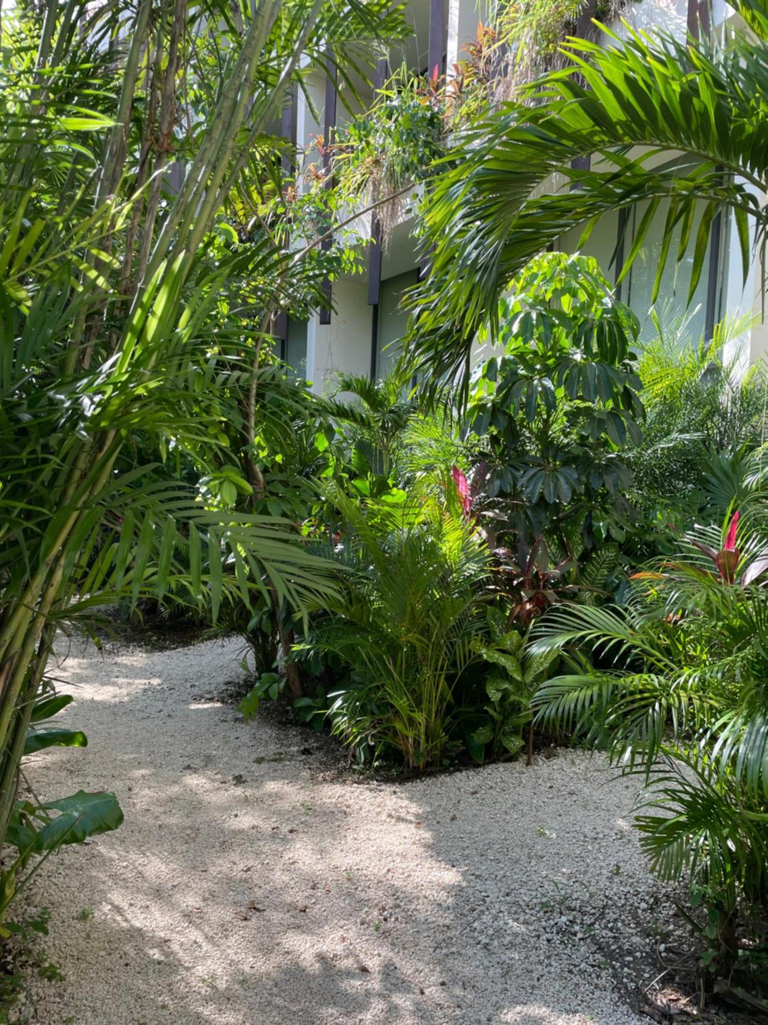 Canopy Cove Loft Private Jacuzzi Parking & B-club * Tulum