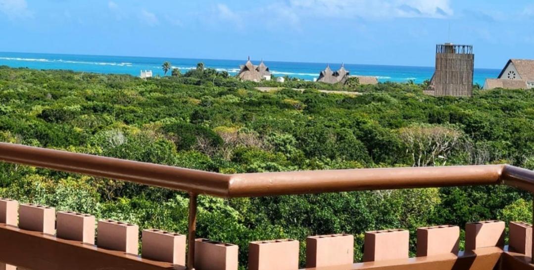 Amira District By Monkey Lifestyle Tulum