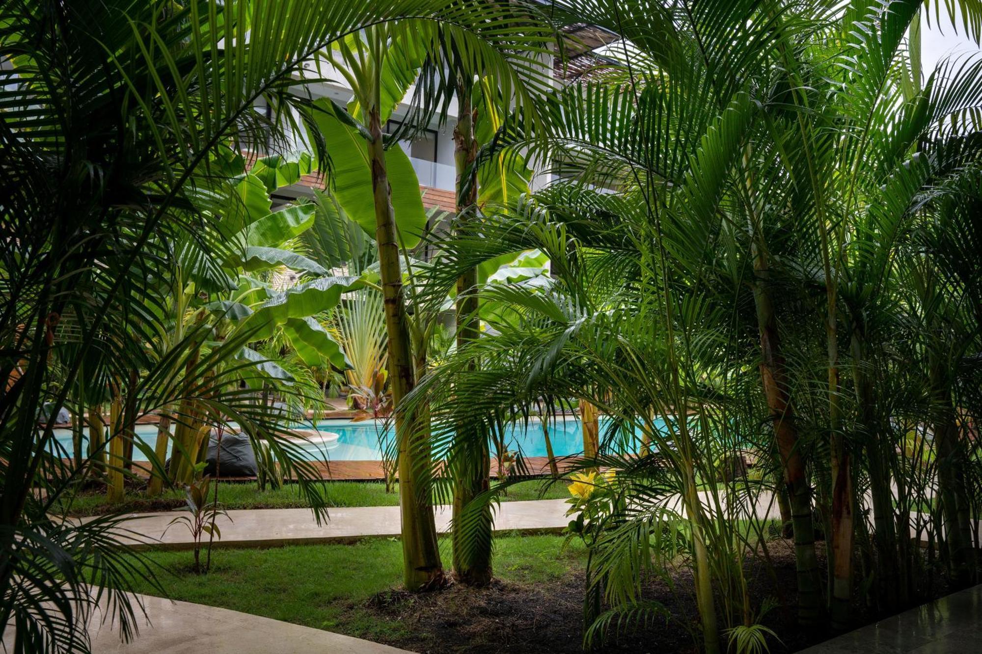 Spacious 1br With Priv Pool Gym Garden Downtown *