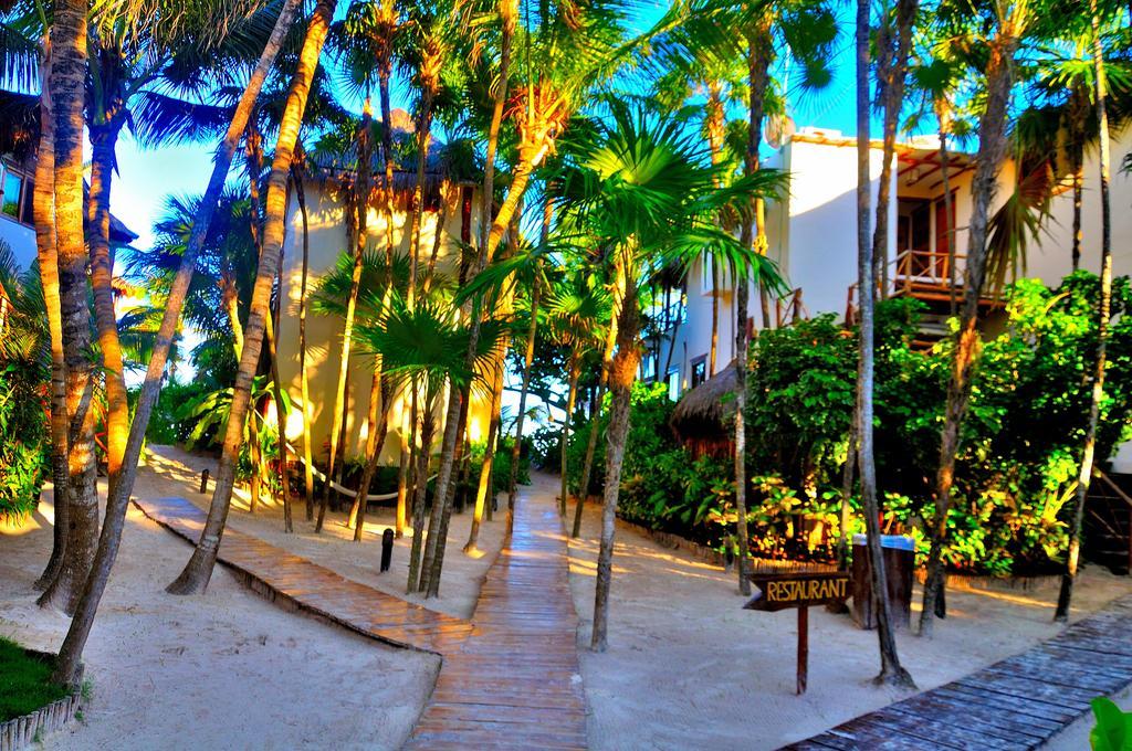 Hotel Rosa Del Viento