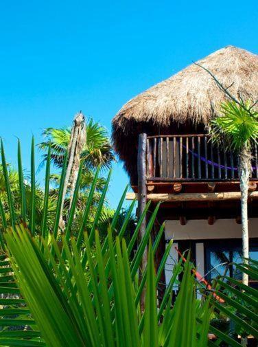 Lodge Playa Selva