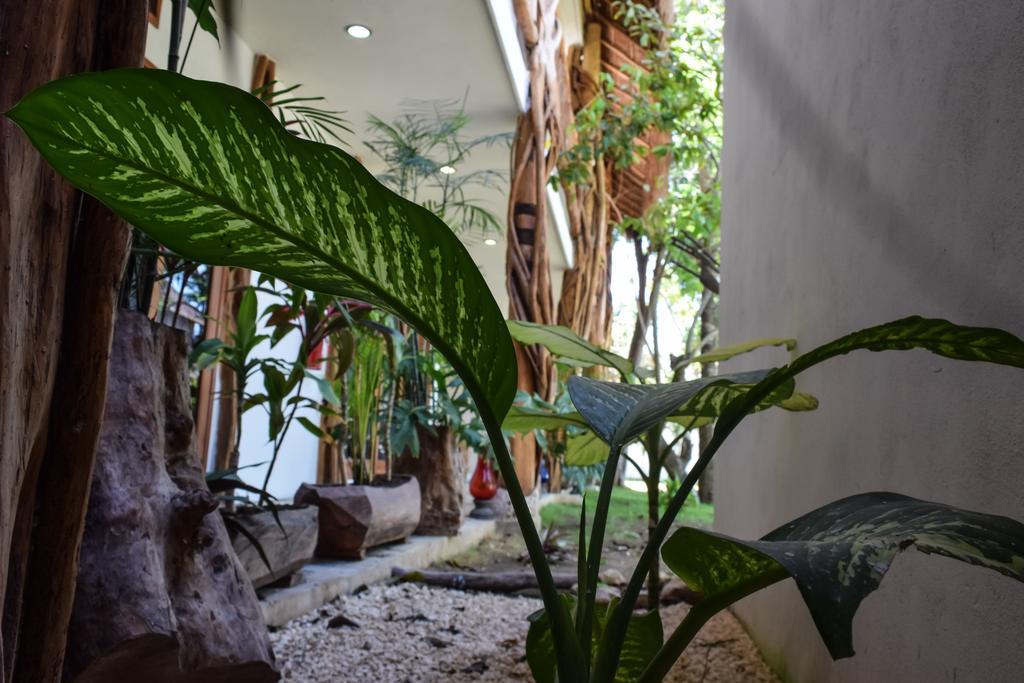 Hotel Corazon De Jade Tulum