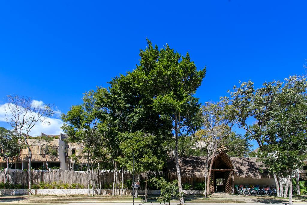 Eco-chic Design Wrapped In Nature's Elements By Stella Apartamento *
