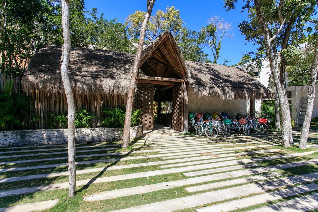 Apartamento Eco-chic Design Wrapped In Nature's Elements By Stella Tulum