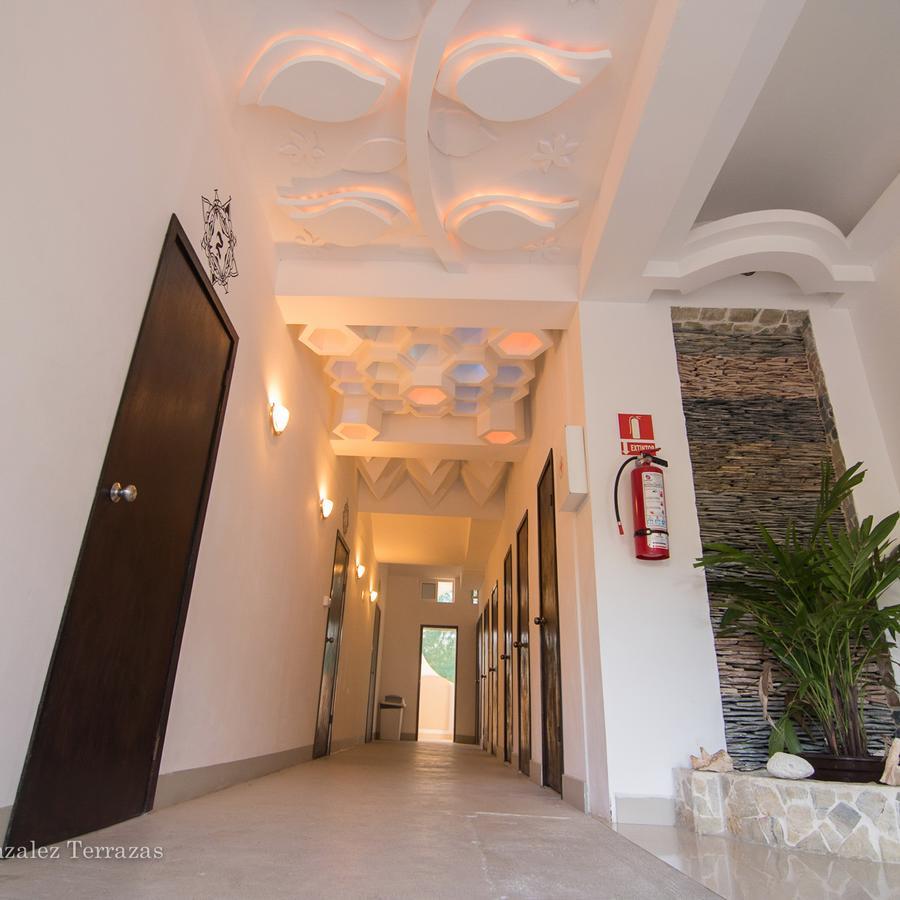 Quintana Roots Hostal