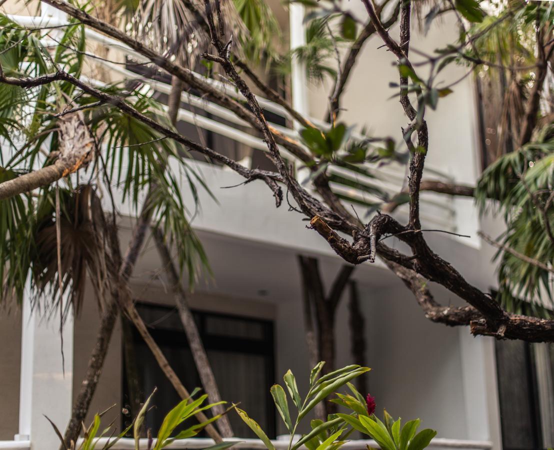 Casa Ambar & Boutique - Located In The Heart Of Zone (adults Only) 3*