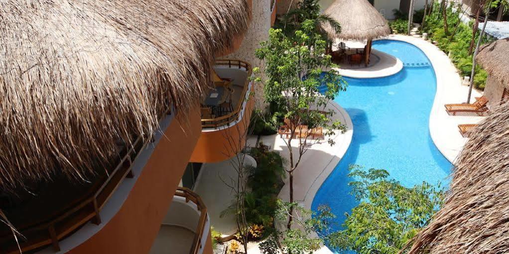 Apartamento Star Forest