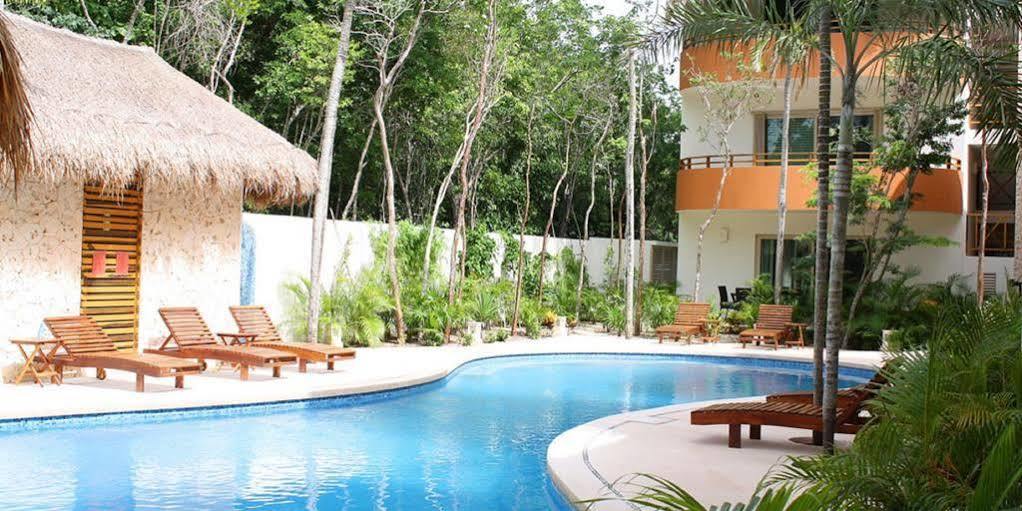 Apartamento Star Forest *