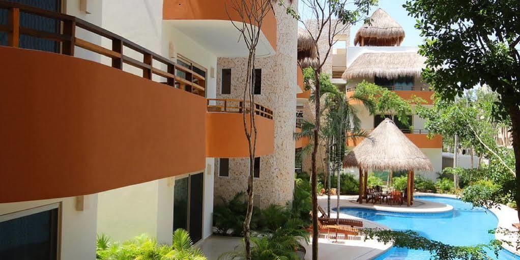 Star Forest Apartamento