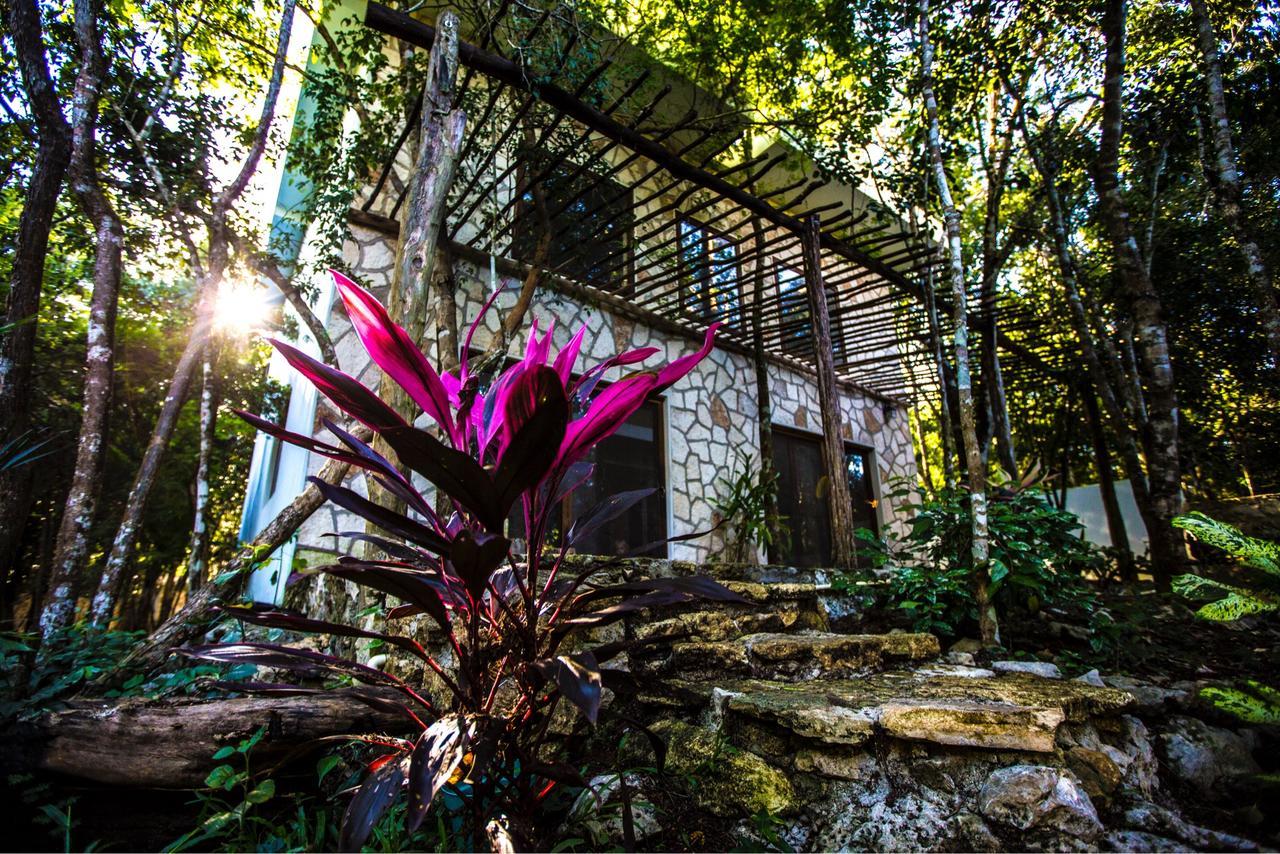 Bed and breakfast Escarabajo Rojo Tulum
