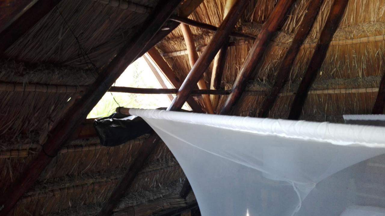 Lodge Eco Tulum