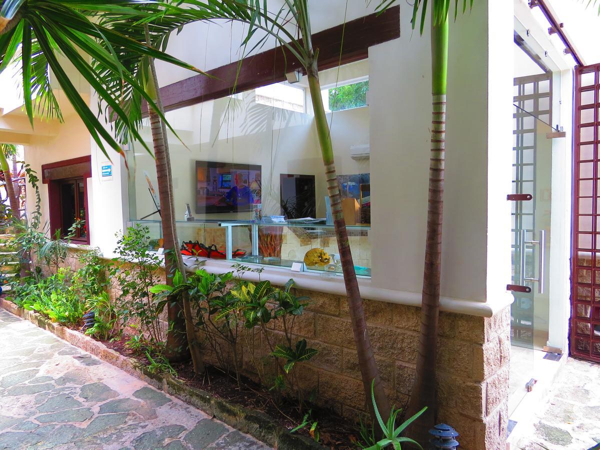 Xibalba Dive Center Hotel Tulum