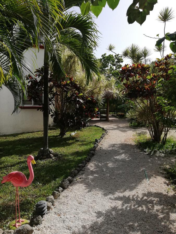 Hotel Maya Pax 3*