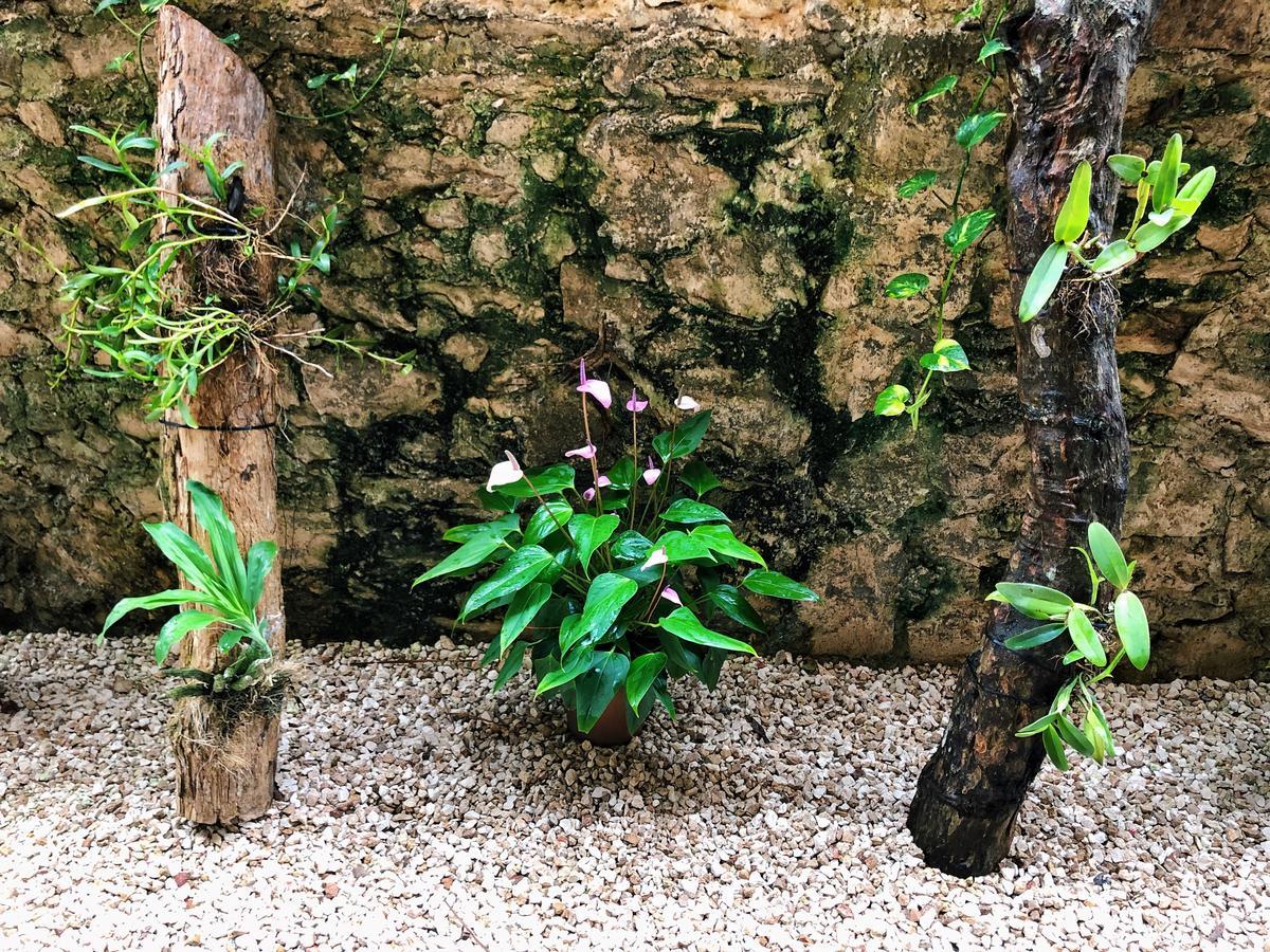 Boutique Jabin Tulum