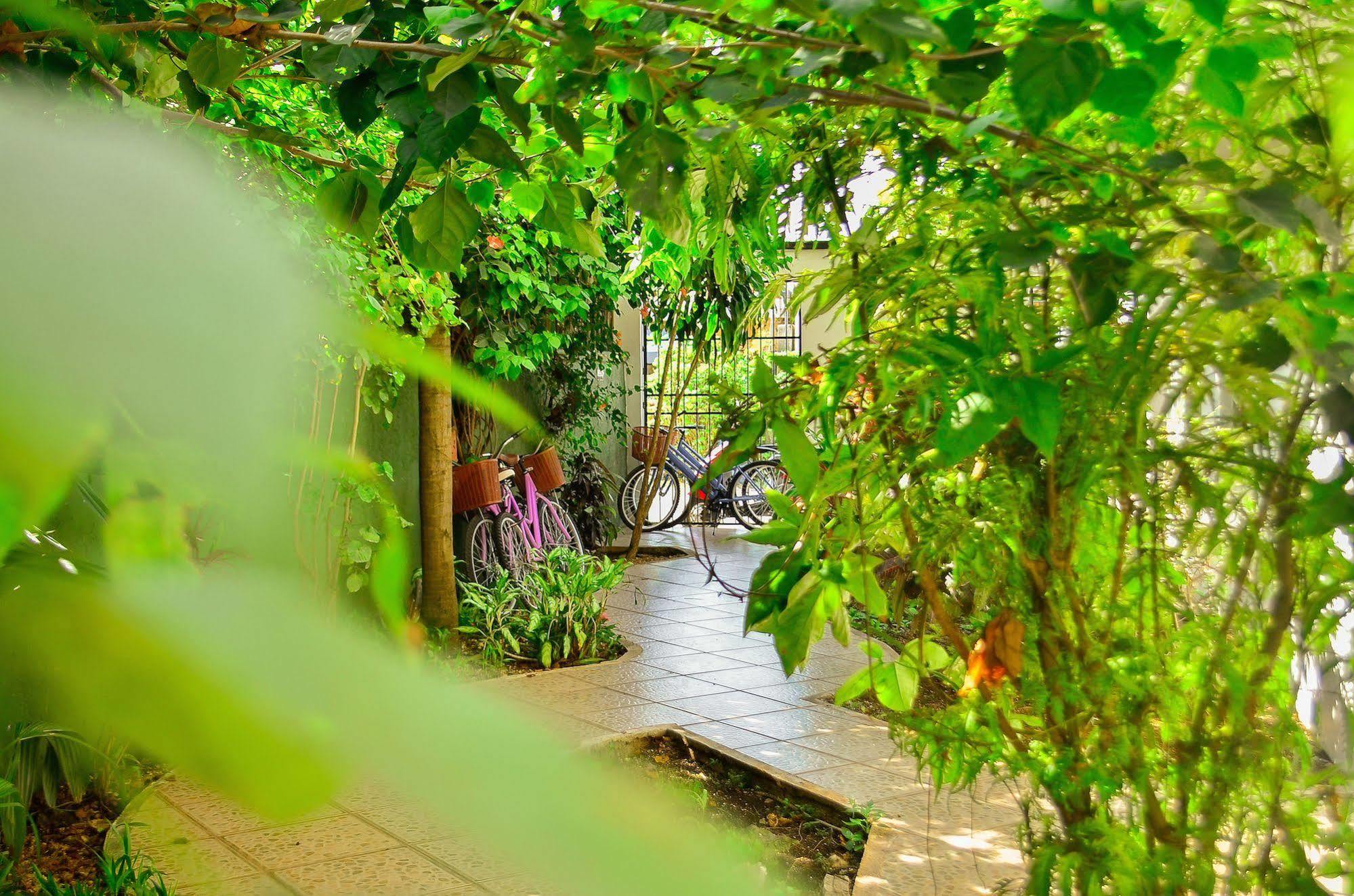Hotel Beauty Tulum