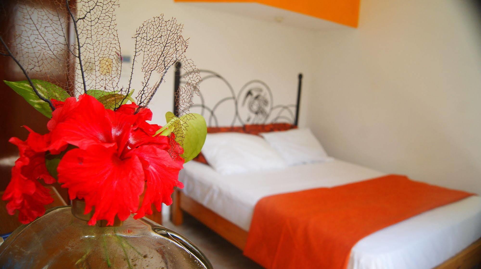Hotel Maya Pax 3*