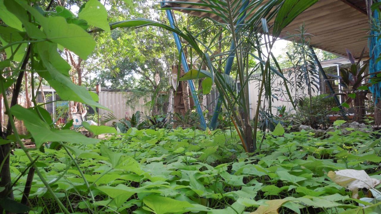Containme Eco Chic Hotel Tulum