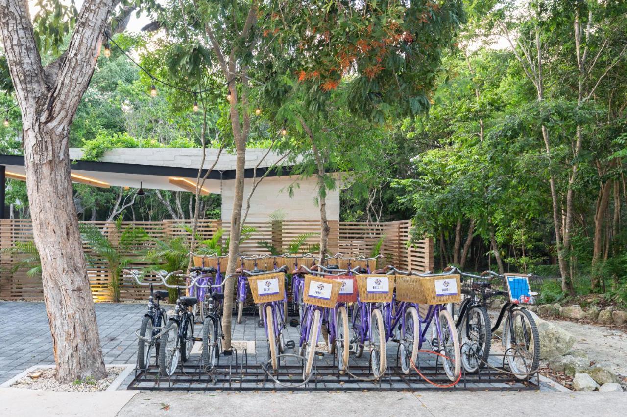 Apartamento Casa Julian - 2br Amazing Jungle Scape At Aldea Zama