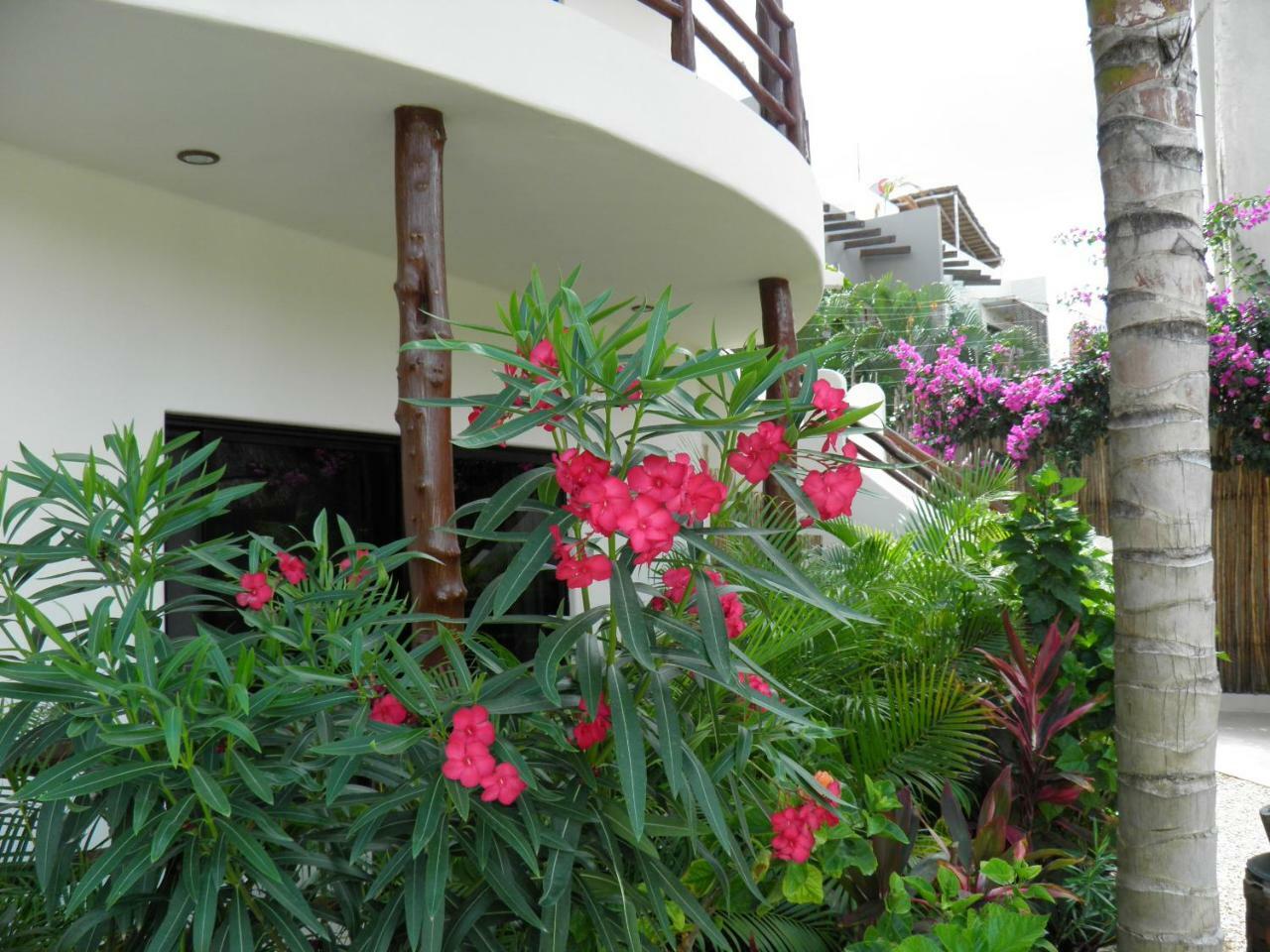 Tua Tulum Apartments Large Comfortable Pool Parking Space Apartamento *