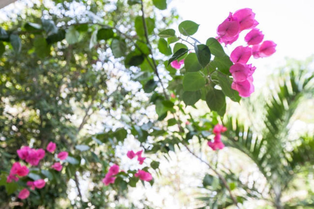 Relaxing Casa Tzalam 3br Surrounded By Nature By Happy Address Holiday home Tulum