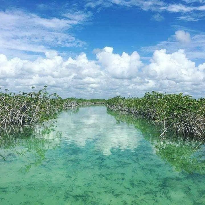Kasa Kai Tulum