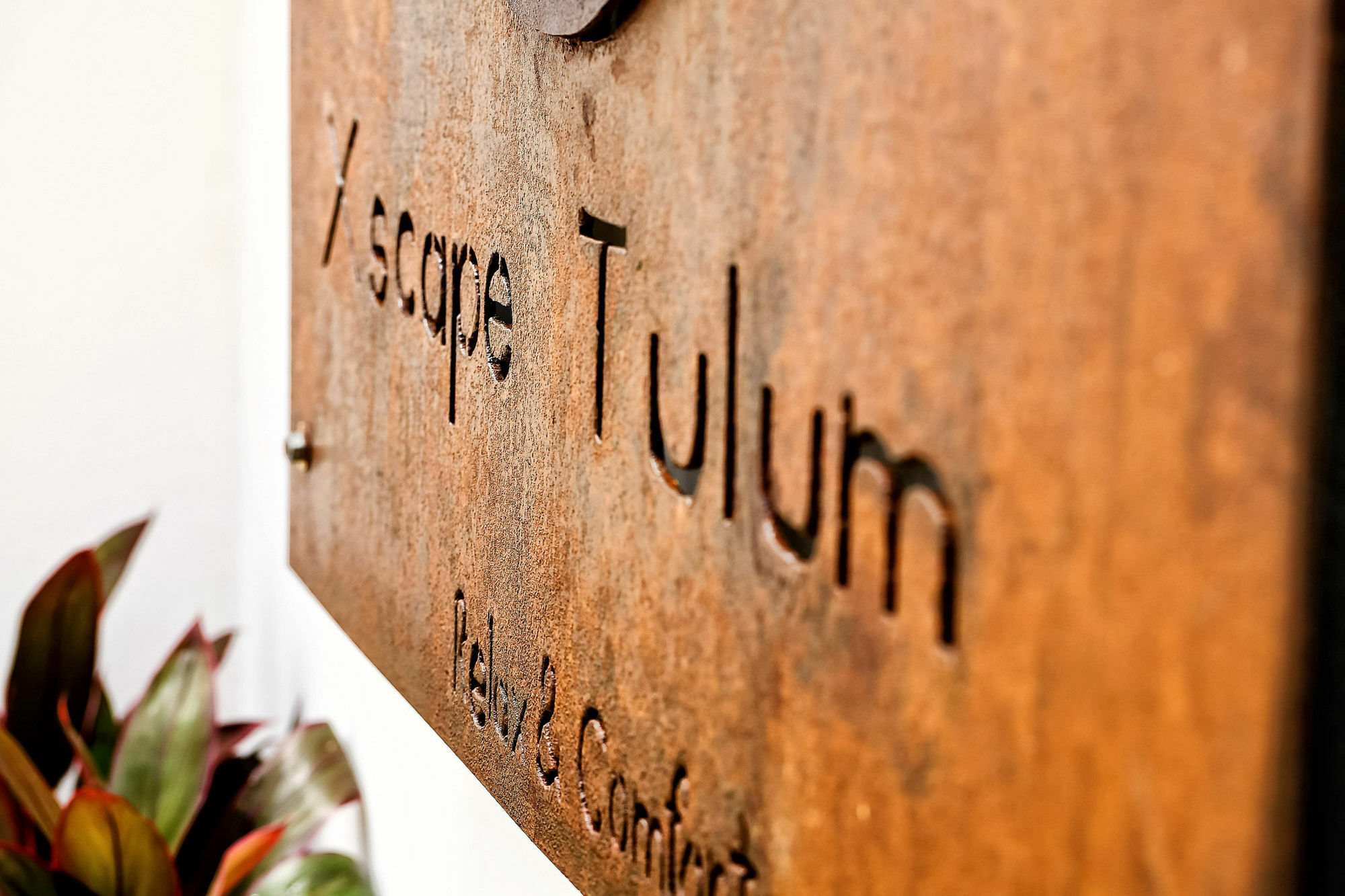 Xscapetulum