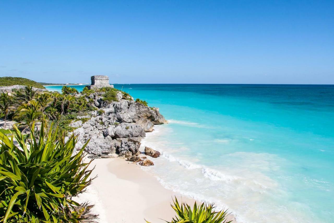 Jungle Luxury Experience - Selva Tulum