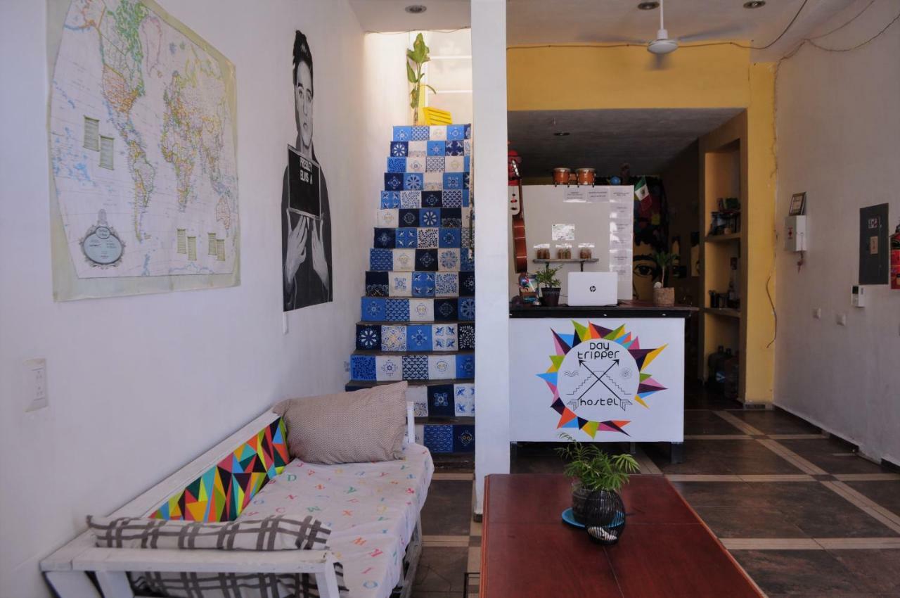 Day Tripper Hostal *
