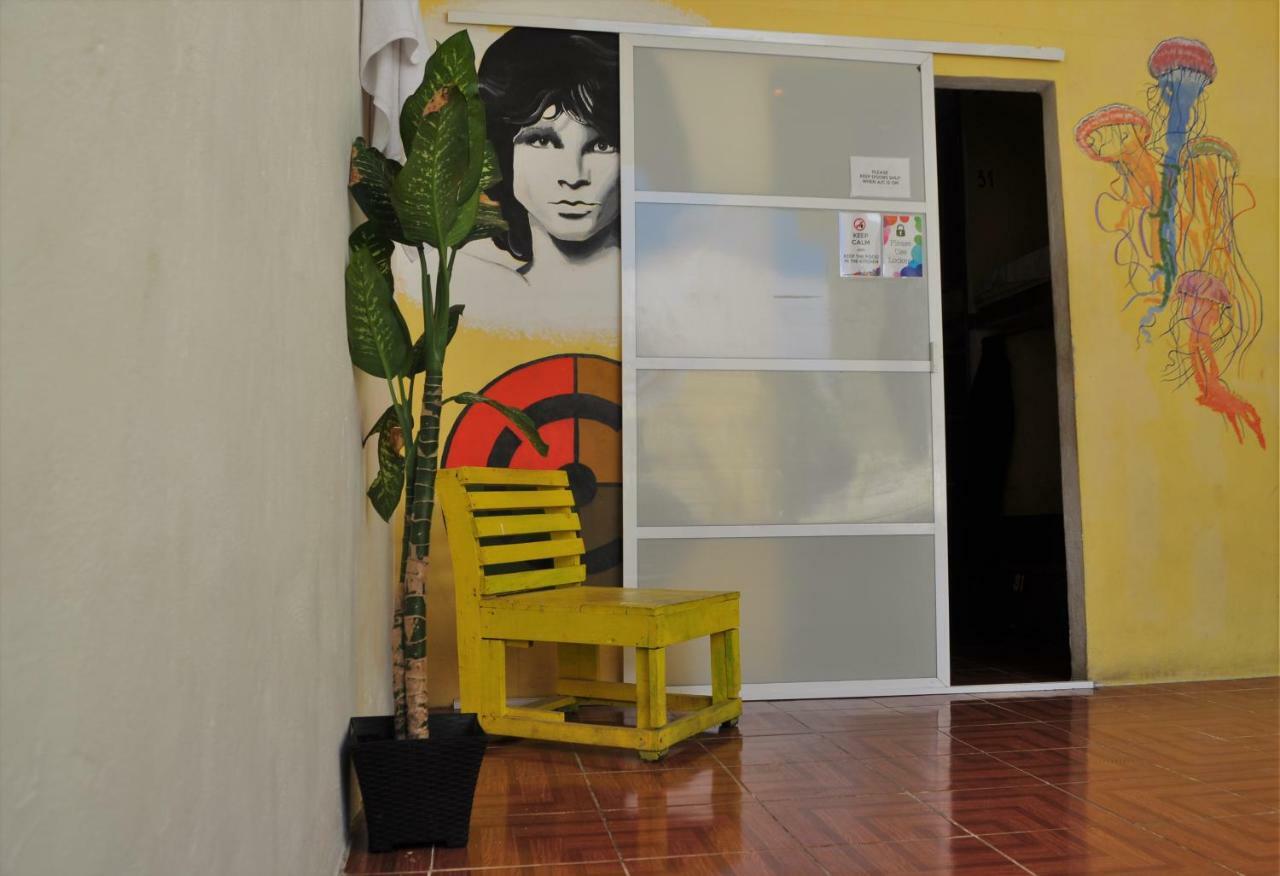 Day Tripper Hostal