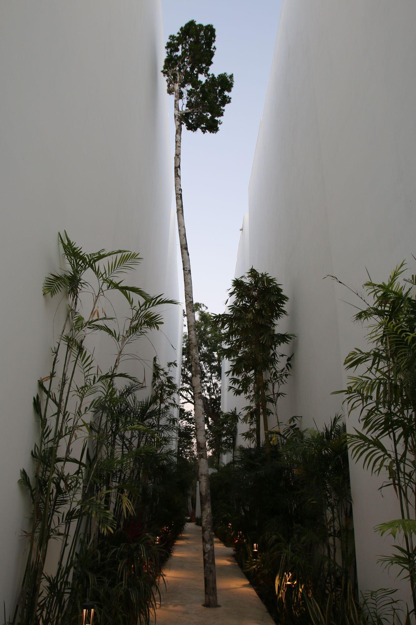 A-nah Suitestulum Apartamento Tulum