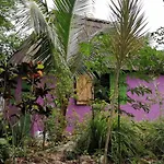 Jungle Oasis
