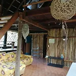 Jungle Oasis