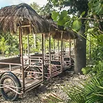 Roc Jungle Tulum