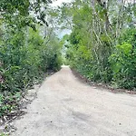 The Jungle Complex Experience Tulum Studio 525