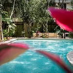 Casai - Kil Spacious Retreat In La Veleta, Tulum - Private Plunge Pool, Gym