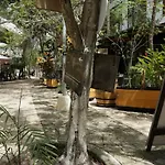Lovely Studio Tulum Wi-Fi 100Mb Gym Eve