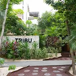 Charming Jungle Apartment In Luum Zama With Pool By Yeah
