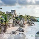 Villa Nimi Architectural Masterpiece Experience Private Pool & Great Concierge Service By Hum Living Tulum
