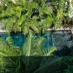 Come And Relax In The Jungle Of Tulum 4001