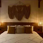 Luxurious Jungle Studio
