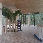Estudios En Muuk