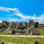 Pure Tulum 303